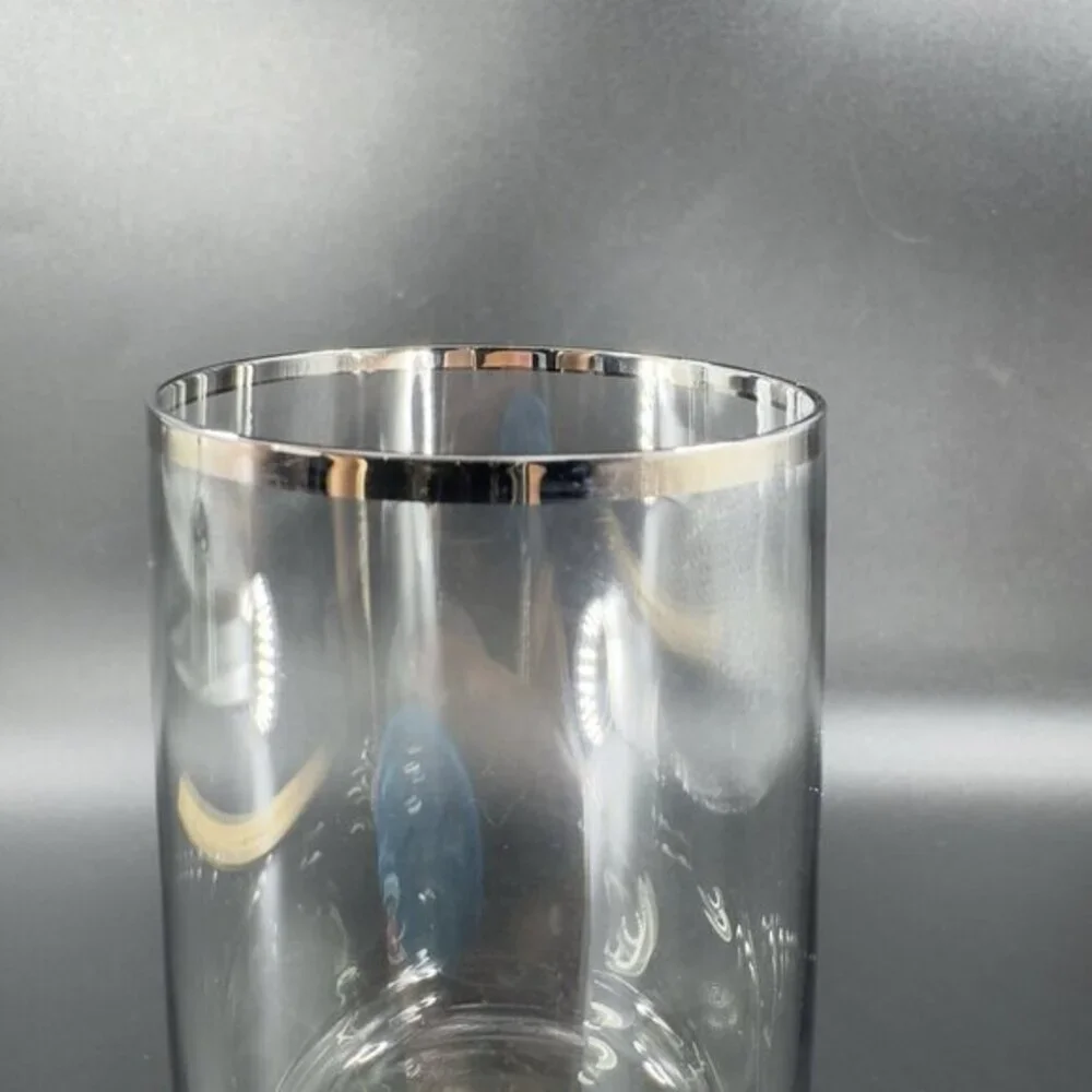 Fostoria Cherish Smoke Grey and Platinum Trim Set 2 Drinking Glasses Cups‎ Glass